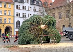 Weihnachtsbaum In Jena Aufgestellt 13112021 0010